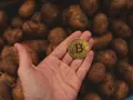 5 Hidden DeFi Yield Strategies Beyond Staking